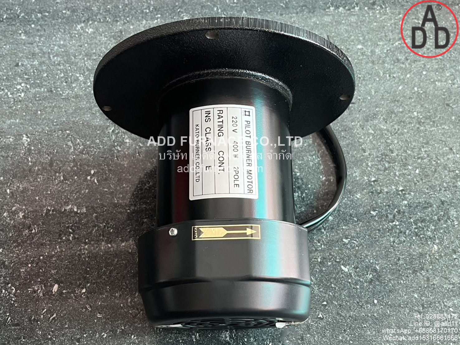 Pilot Burner Motor 220V 200W 2Pole (4)